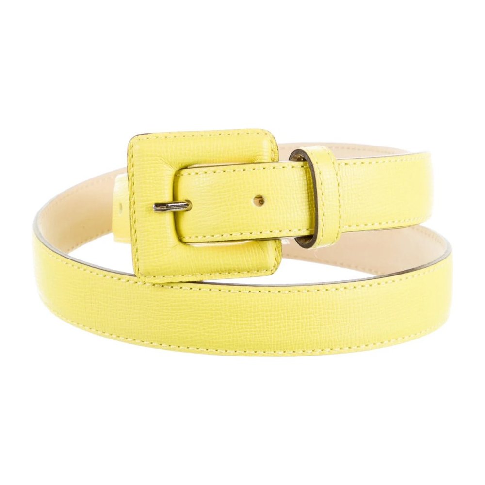 Longchamp Skinny Leather Belt NWOT